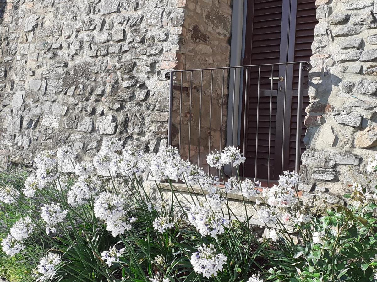 Hotel Le Macine Montaione Εξωτερικό φωτογραφία