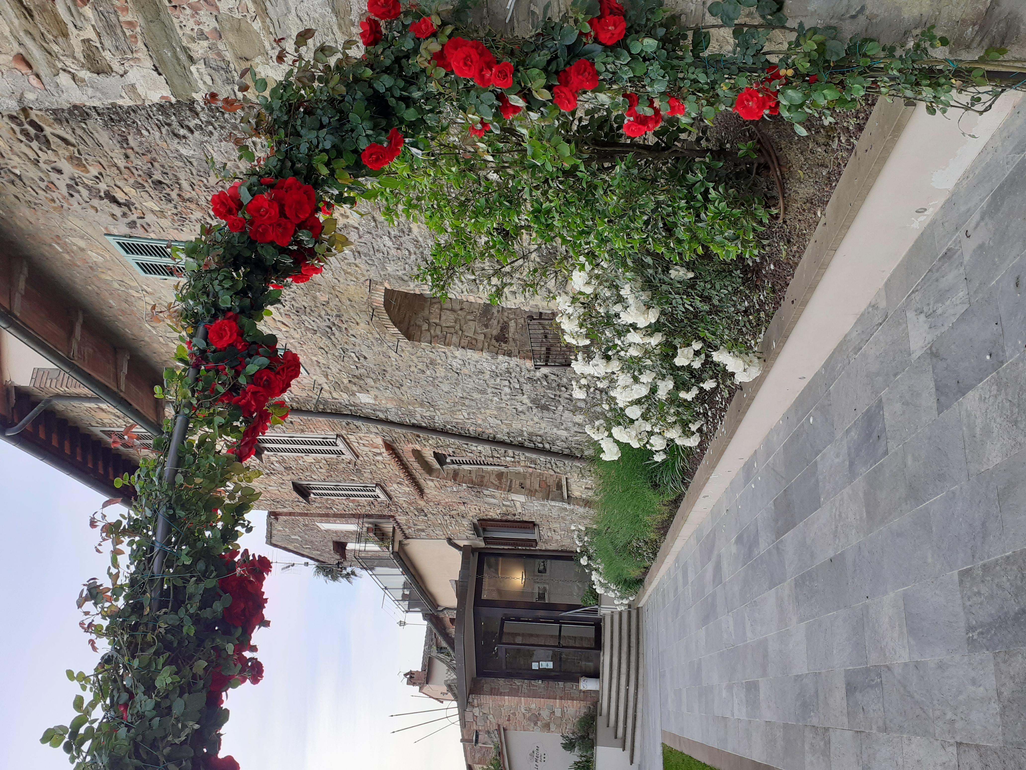 Hotel Le Macine Montaione Εξωτερικό φωτογραφία