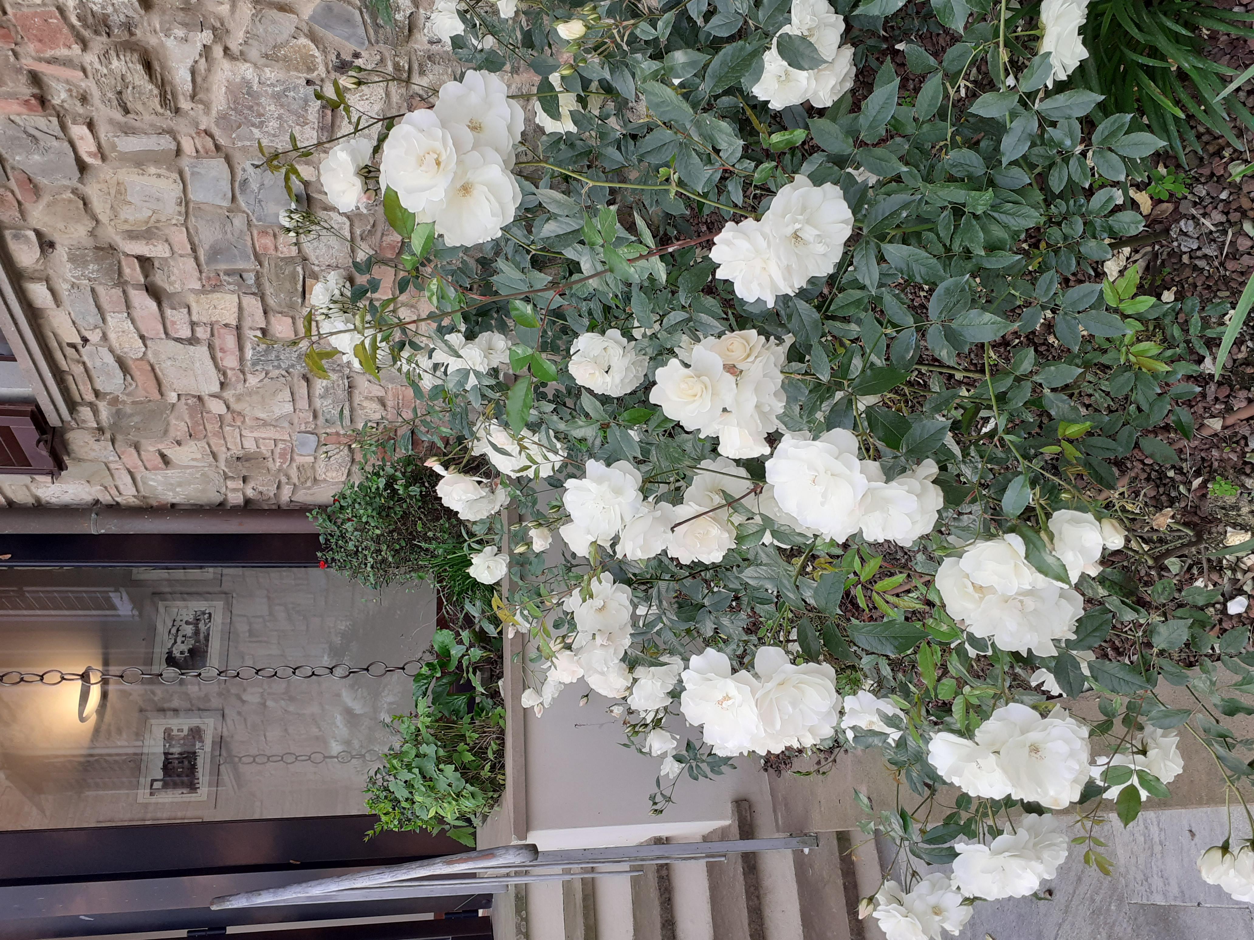 Hotel Le Macine Montaione Εξωτερικό φωτογραφία